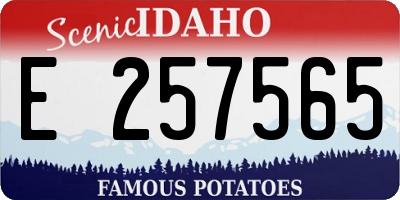 ID license plate E257565