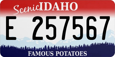 ID license plate E257567