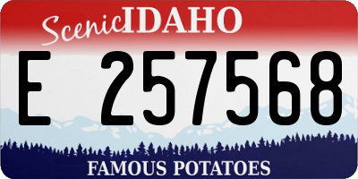ID license plate E257568