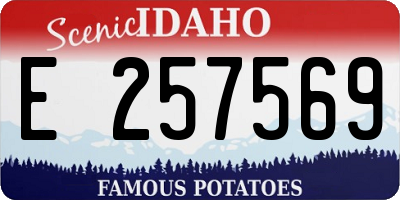 ID license plate E257569