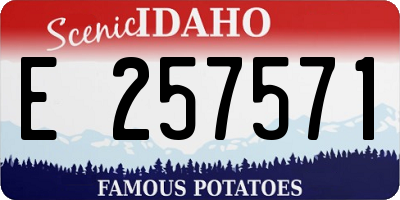 ID license plate E257571