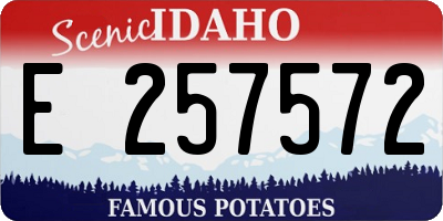 ID license plate E257572