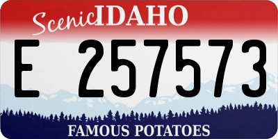 ID license plate E257573