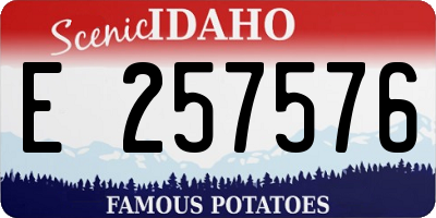 ID license plate E257576