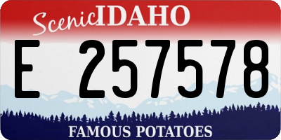 ID license plate E257578