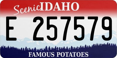 ID license plate E257579