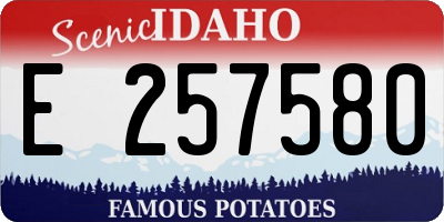 ID license plate E257580