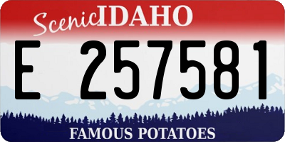 ID license plate E257581