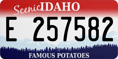 ID license plate E257582