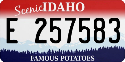 ID license plate E257583