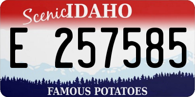 ID license plate E257585