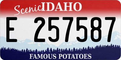ID license plate E257587