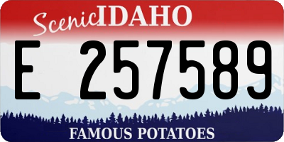 ID license plate E257589