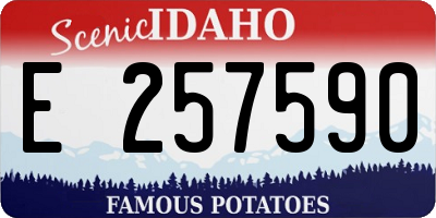 ID license plate E257590