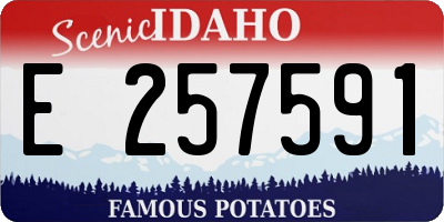 ID license plate E257591