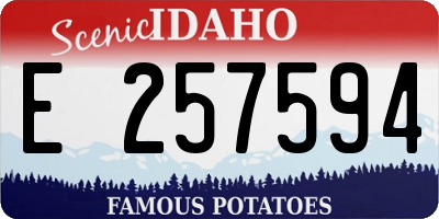 ID license plate E257594
