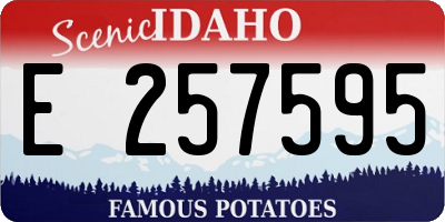 ID license plate E257595