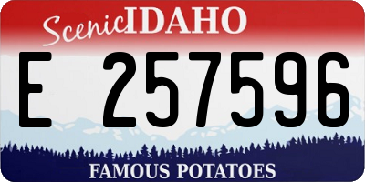 ID license plate E257596