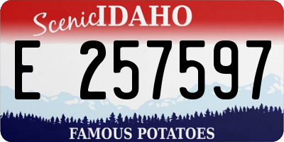ID license plate E257597