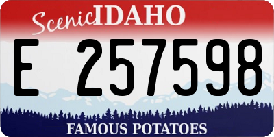ID license plate E257598