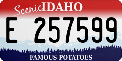 ID license plate E257599