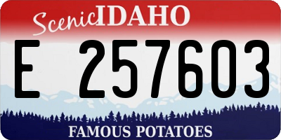 ID license plate E257603