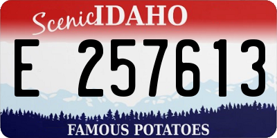 ID license plate E257613