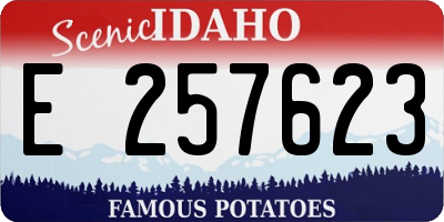 ID license plate E257623