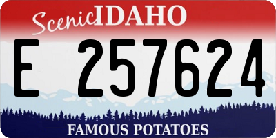 ID license plate E257624
