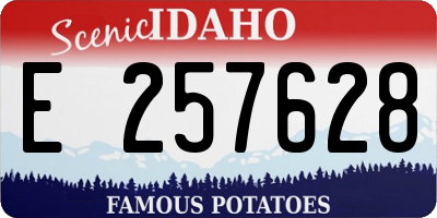 ID license plate E257628