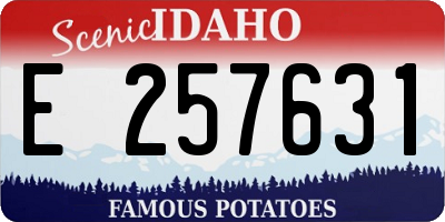 ID license plate E257631