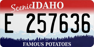 ID license plate E257636