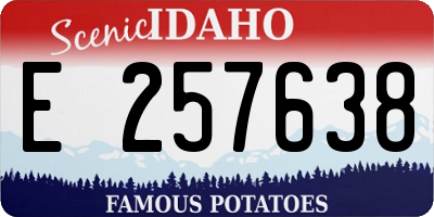 ID license plate E257638