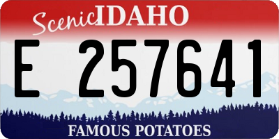 ID license plate E257641