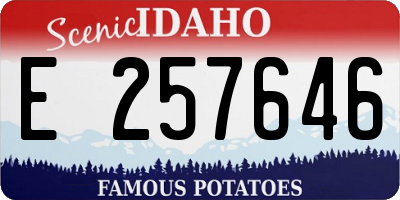 ID license plate E257646