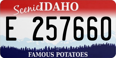 ID license plate E257660