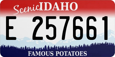 ID license plate E257661