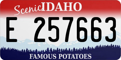 ID license plate E257663