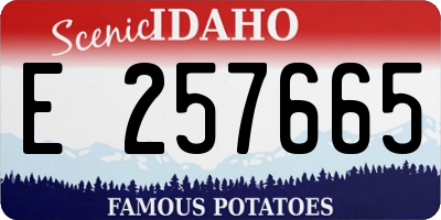 ID license plate E257665
