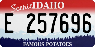 ID license plate E257696