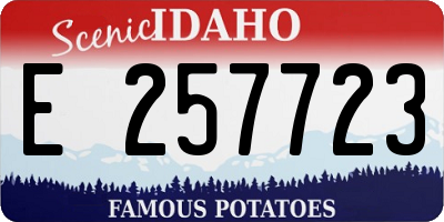 ID license plate E257723