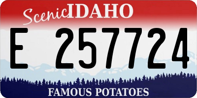 ID license plate E257724