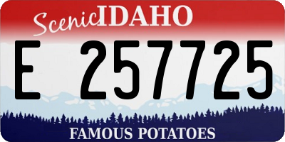 ID license plate E257725
