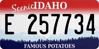 ID license plate E257734