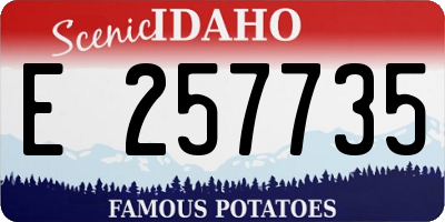 ID license plate E257735