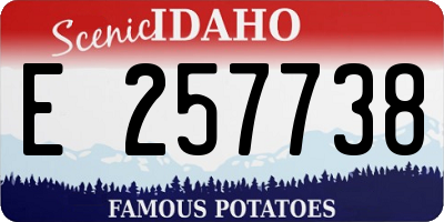 ID license plate E257738