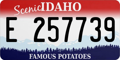 ID license plate E257739