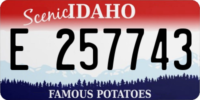 ID license plate E257743