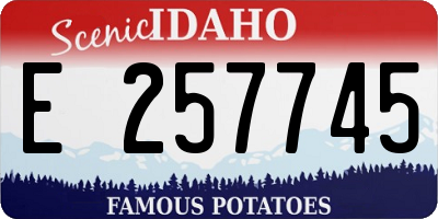 ID license plate E257745