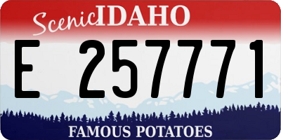 ID license plate E257771